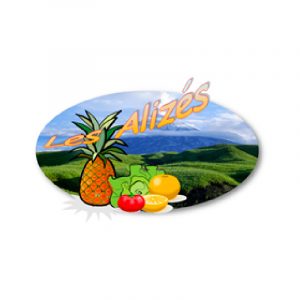 iguaflhor-sica-les-alizes