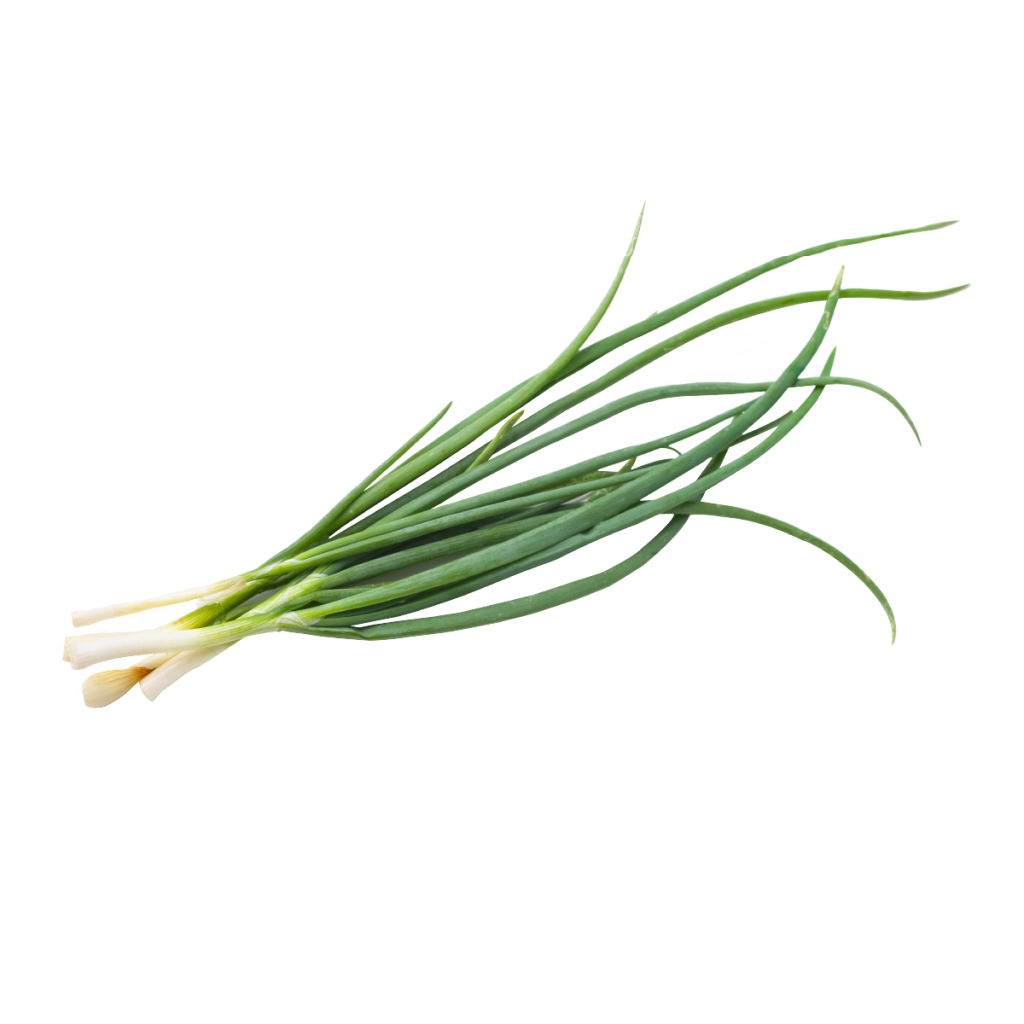 iguaflhor-fruitlegume-cives