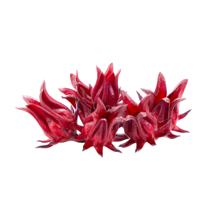 iguaflhor-fruit-legume-groseille-pays